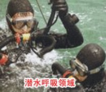 成功免费下载草莓视频